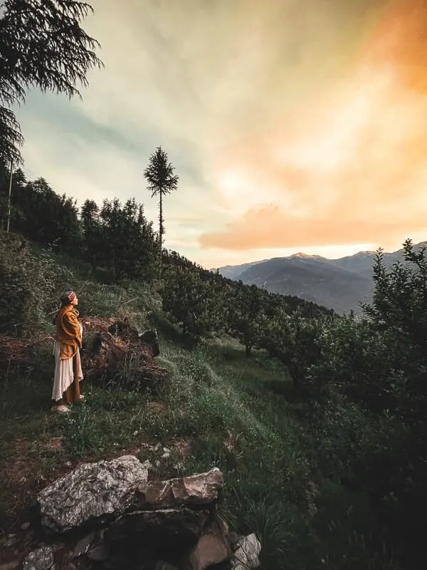 A person standing among orchard trees, looking towards sunlit mountain peaks