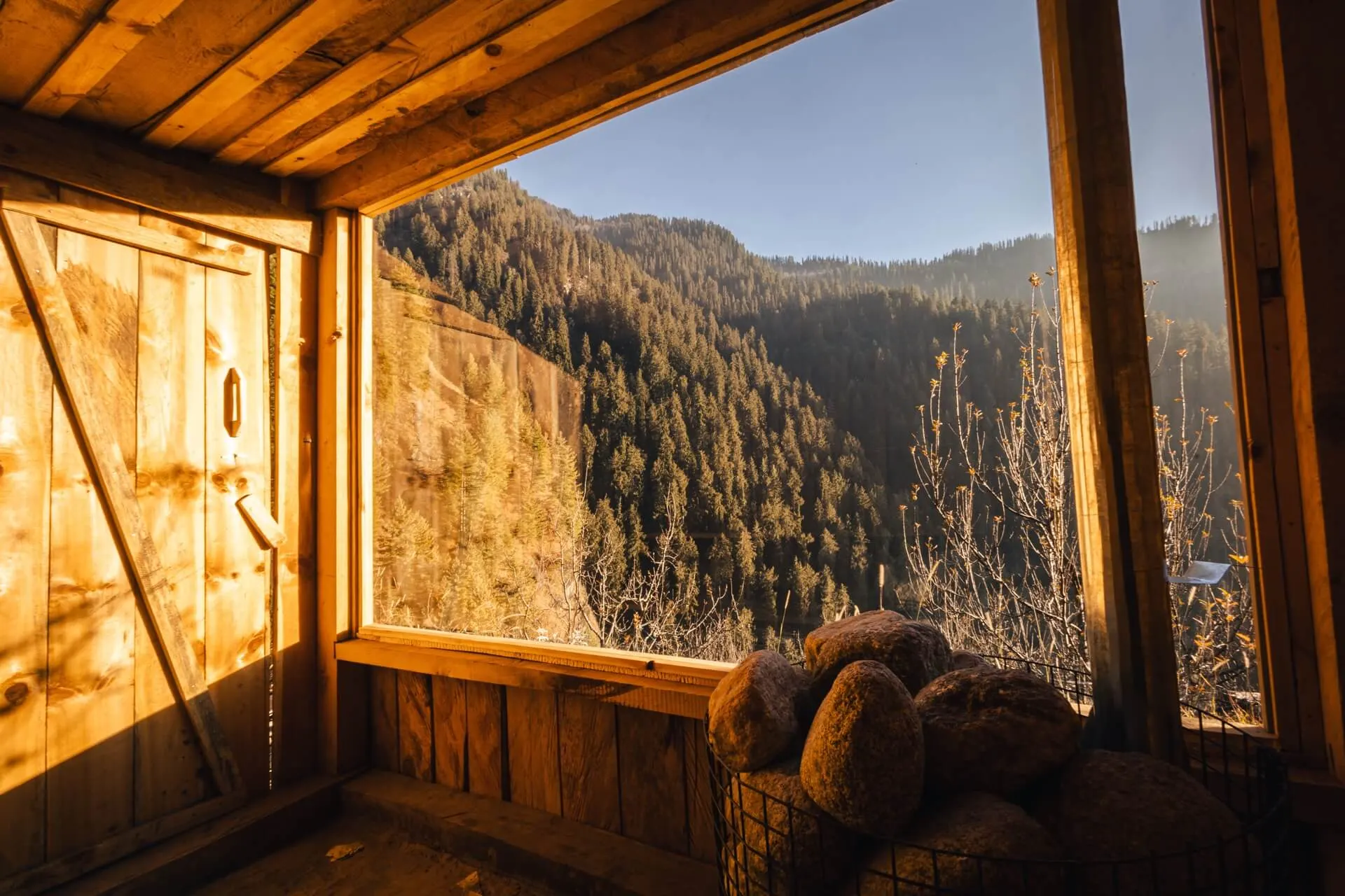 Inside Wild's cedar sauna, with the heater in the foreground and the full forest-facing window